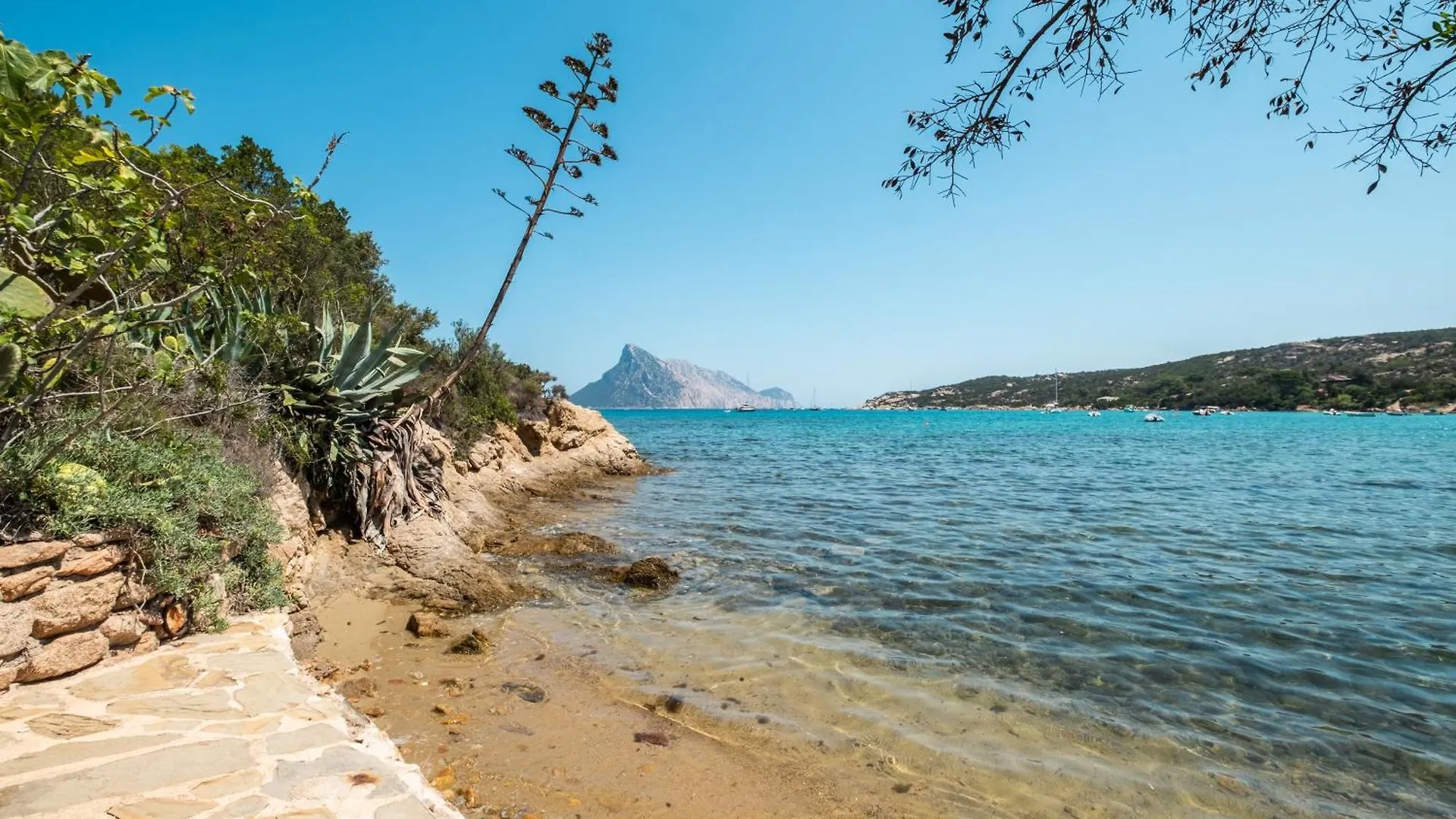 別荘 Villa La Torretta - Villa Sul Mare E Spiaggia Privata ポルト・タヴェルナ イタリア